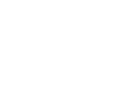 HALL Park Enhancing the City with New Urban Green Spaces and Cultural Experiences