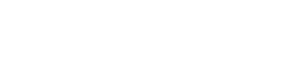 The Star District A Destination for Shopping, Dining and Entertainment 
