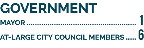 GOVERNMENT MAYOR 1  AT-LARGE CITY COUNCIL MEMBERS 6 