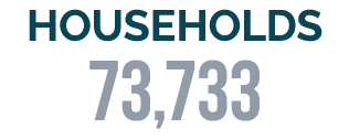 HOUSEHOLDS 73,733