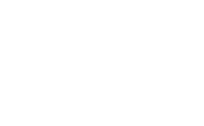 SCHOOL AGED POPULATION 20.3%