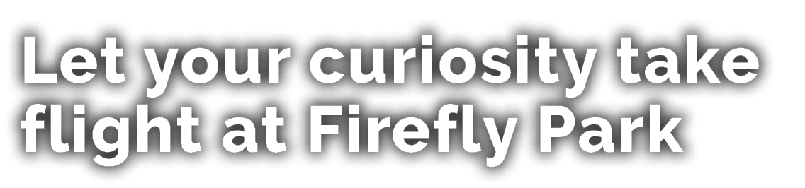 Let your curiosity take flight at Firefly Park