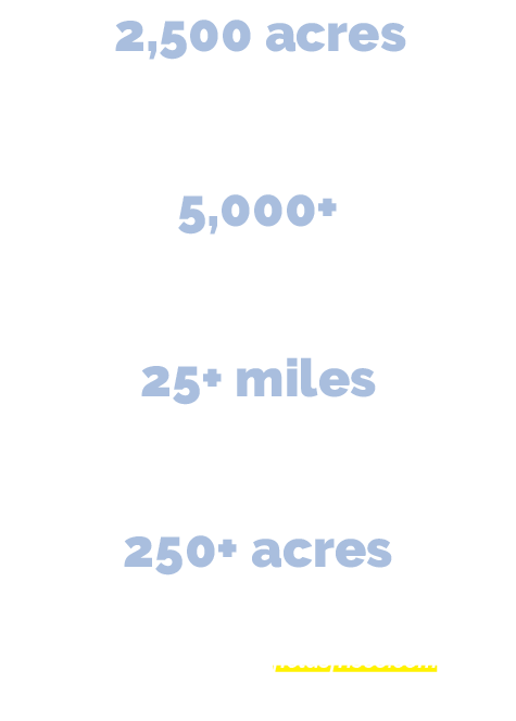 2,500 acres including retail, restaurant, entertainment, hospitality, Class A office, and residential developments 5...