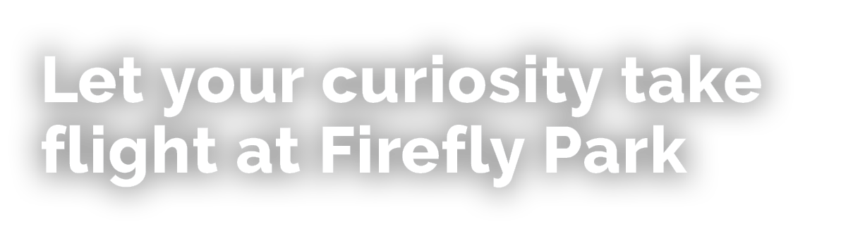 Let your curiosity take flight at Firefly Park