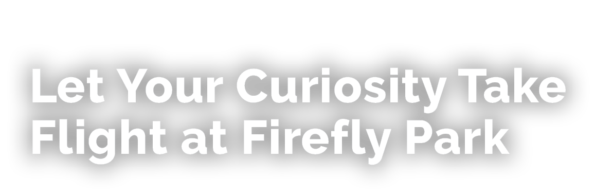 Let Your Curiosity Take Flight at Firefly Park
