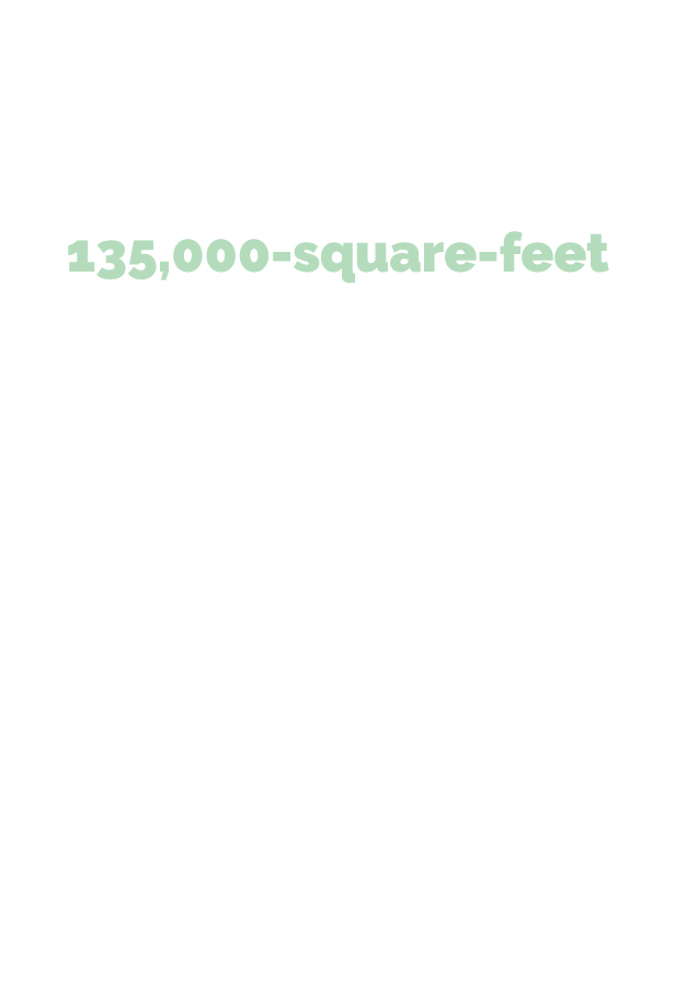 What to know about: UNT at Frisco’s Frisco Landing Born from a partnership between UNT and the City of Frisco, UNT at...