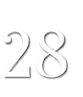 28