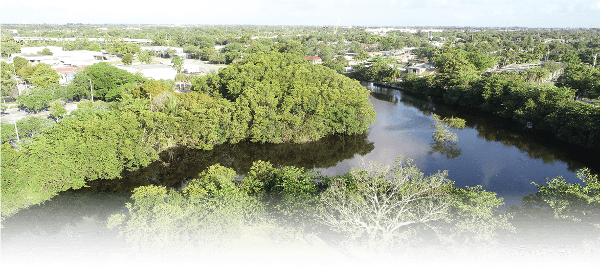 DCIM 100MEDIA DJI_0165 JPG