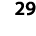 29