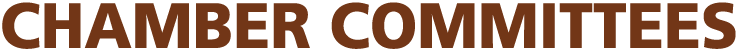 CHAMBER COMMITTEES