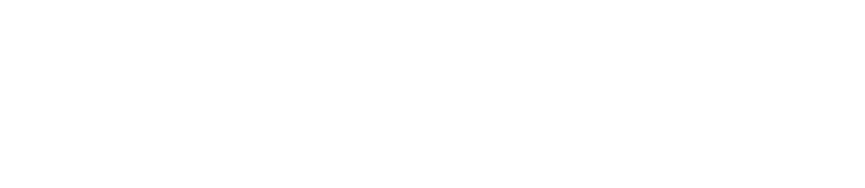 BUSINESS & ECONOMIC DEVELOPMENT