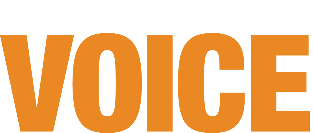 Voice