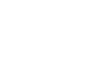 unbridled calm: horse and people find respite at wild hooves open hearts Page 26