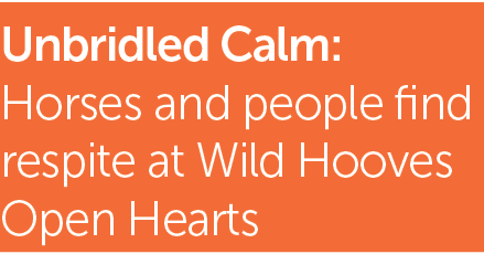 Unbridled Calm: Horses and people find respite at Wild Hooves Open Hearts