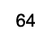 64