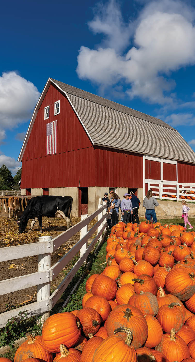A barn with a white fence and a black cow. Description generated by AI