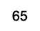 65
