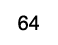 64