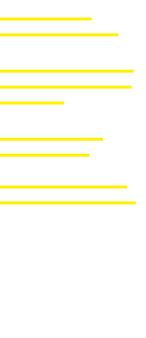 Economic Development Field of Flags: Honoring Our Heroes Leadership Granbury Bridge Street History Center