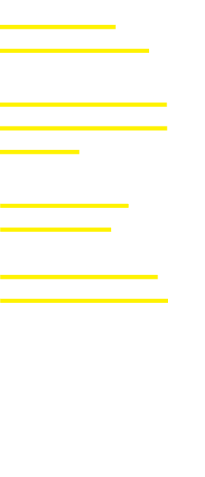 Economic Development Field of Flags: Honoring Our Heroes Leadership Granbury Bridge Street History Center