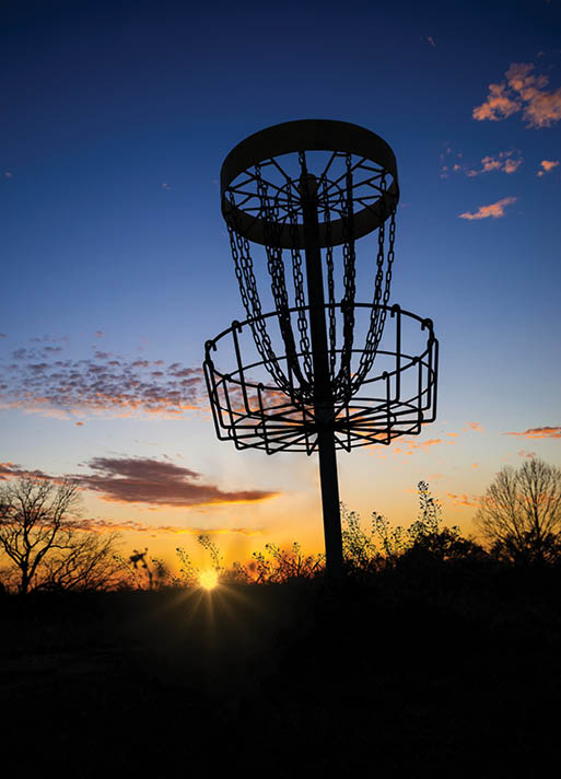 Disc golf basket in the park at sunset or sunrise