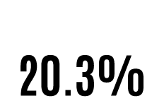 Households with children 17 and under 20.3%