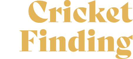 Cricket Finding