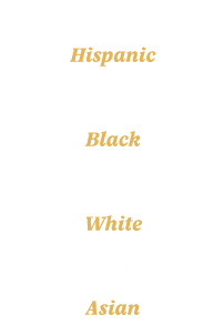 48% Hispanic 26% Black 17% White 7% Asian 