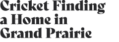 Cricket Finding a Home in Grand Prairie