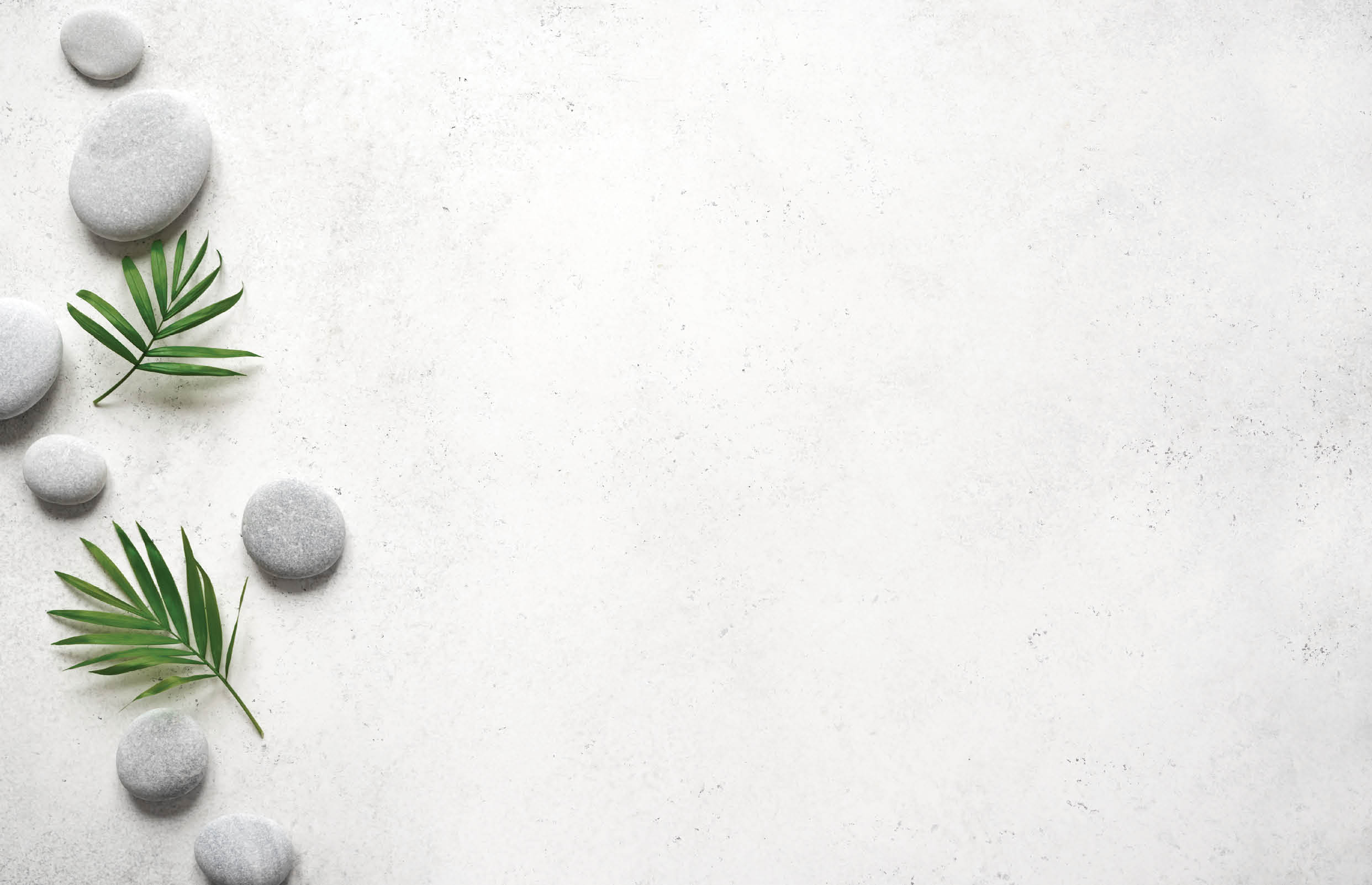 Spa concept on white stone background, palm leaves and zen like grey stones, top view, copy space.