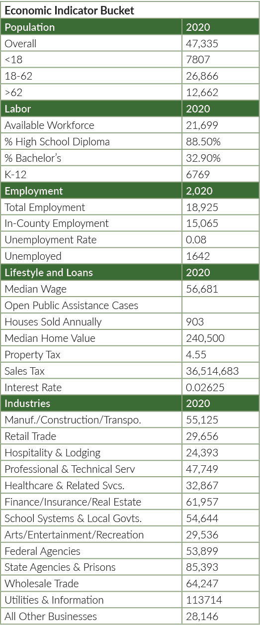 Economic Indicator Bucket,Population,2020,Overall,47,335, 18,7807,18 62,26,866, 62,12,662,Labor,2020,Available Workfo...