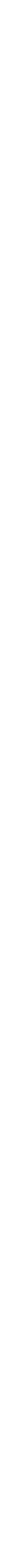 RUBY PARTNER