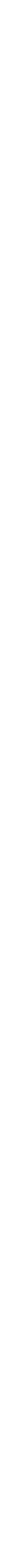 DIAMOND PARTNER
