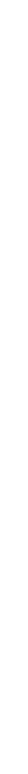 SILVER PaRTNER