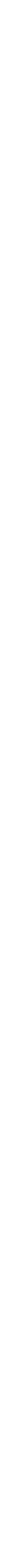 SILVER PARTNER