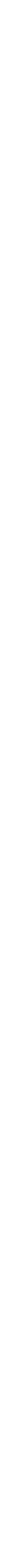 BRONZE PaRTNER