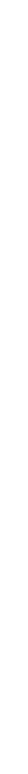 MEDIA PARTNER