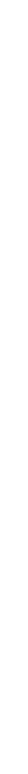 BRONZE PARTNER