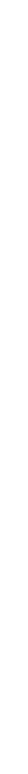 COMMUNITY PARTNER
