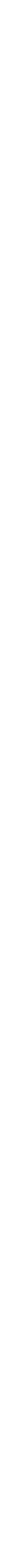 RUBY PaRTNER