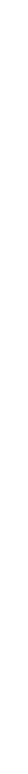PLATINUM PaRTNER