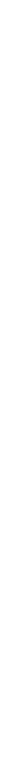 RUBY PaRTNER