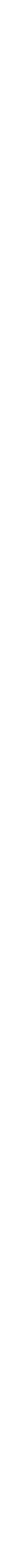 SILVER PaRTNER