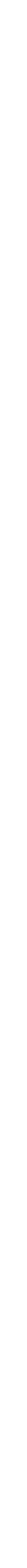 MEDIA PARTNER