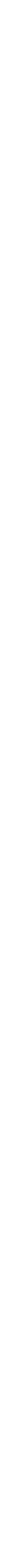 COMMUNITY PARTNER