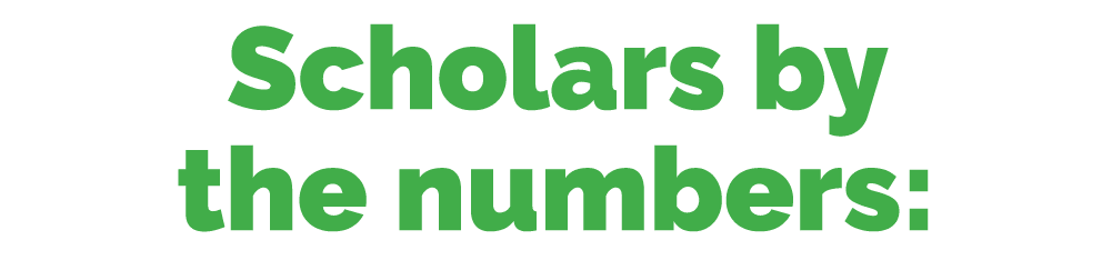 Scholars by the numbers: