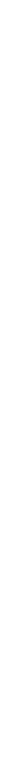 BRONZE PARTNER