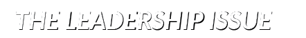 The Leadership Issue