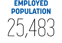EMPLOYED POPULATION 25,483
