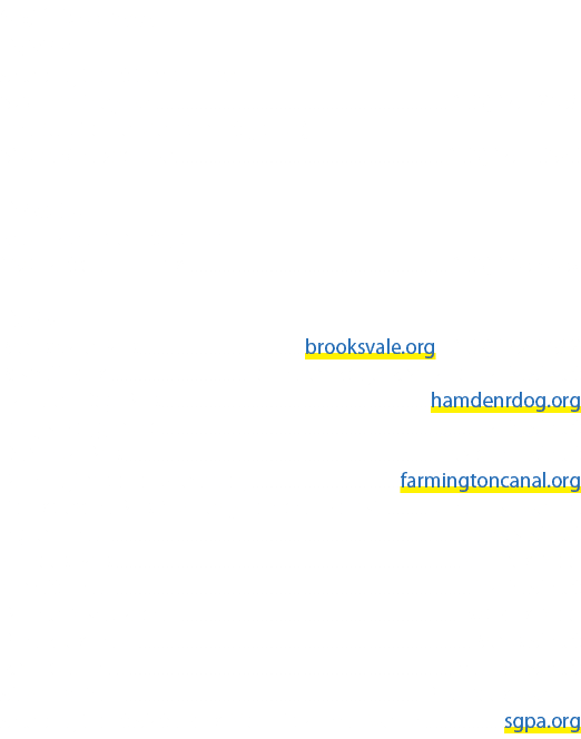 Golf Courses Public Sleeping Giant Golf Course, 3931 Whitney Ave. (203) 281 9456 The VUE (Laurel View Country Club), ...